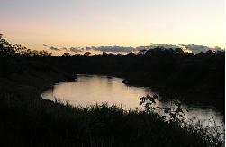 Florestas, um patrimônio a ser protegido