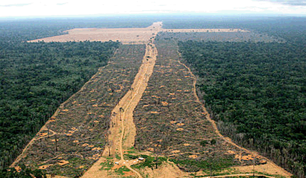 Desmatamento da Amazônia caiu 18%