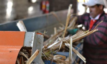 Weber Haus aproveita bagaço de cana