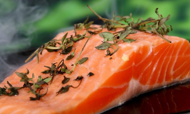 Salmão do Chile tem 3,8 mil vezes mais antibiótico