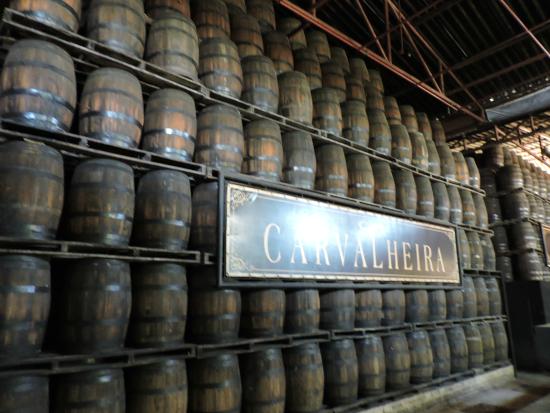 Uma Carvalheira e um havano