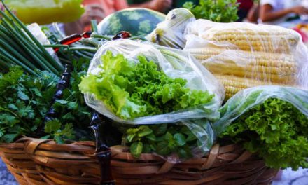 Brasil oferece 200 opções na feira mundial de orgânicos