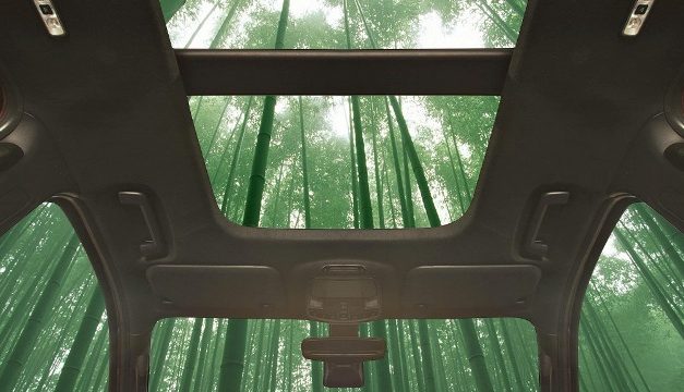 Bambu no carro: pode ser melhor que metal