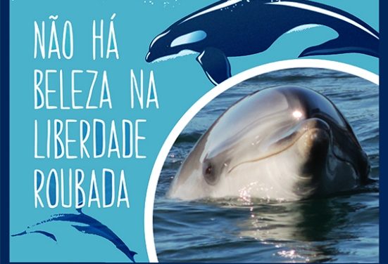 Movimento pelo fim da vida animal em cativeiro