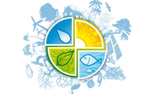 Prêmio de sustentabilidade para pessoas e empresas