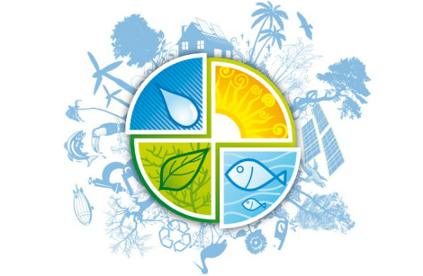 Prêmio de sustentabilidade para pessoas e empresas