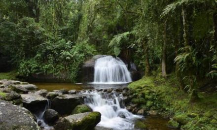 Fundação Toyota investe nas águas da Mantiqueira 