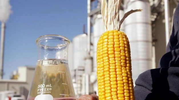 Mato Grosso produz etanol de milho