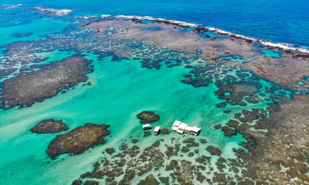 Piscinas naturais são a atração de Maragogi
