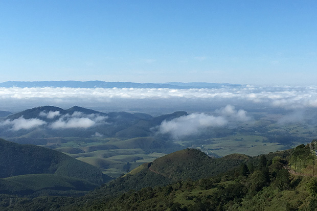 Preservar os mananciais é a solução perene para a água