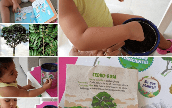 Educar desde a infância para o meio ambiente