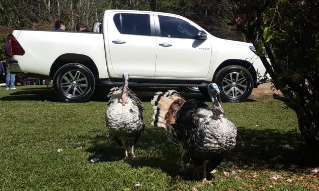 De Hilux, conhecendo as Águas da Mantiqueira