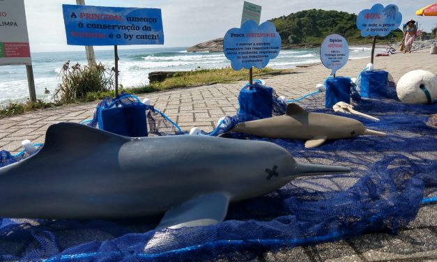 Captura acidental provoca morte em massa de animais marinhos