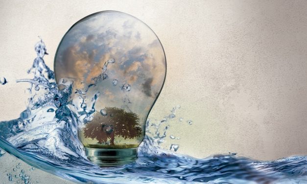 Natura é a brasileira mais sustentável