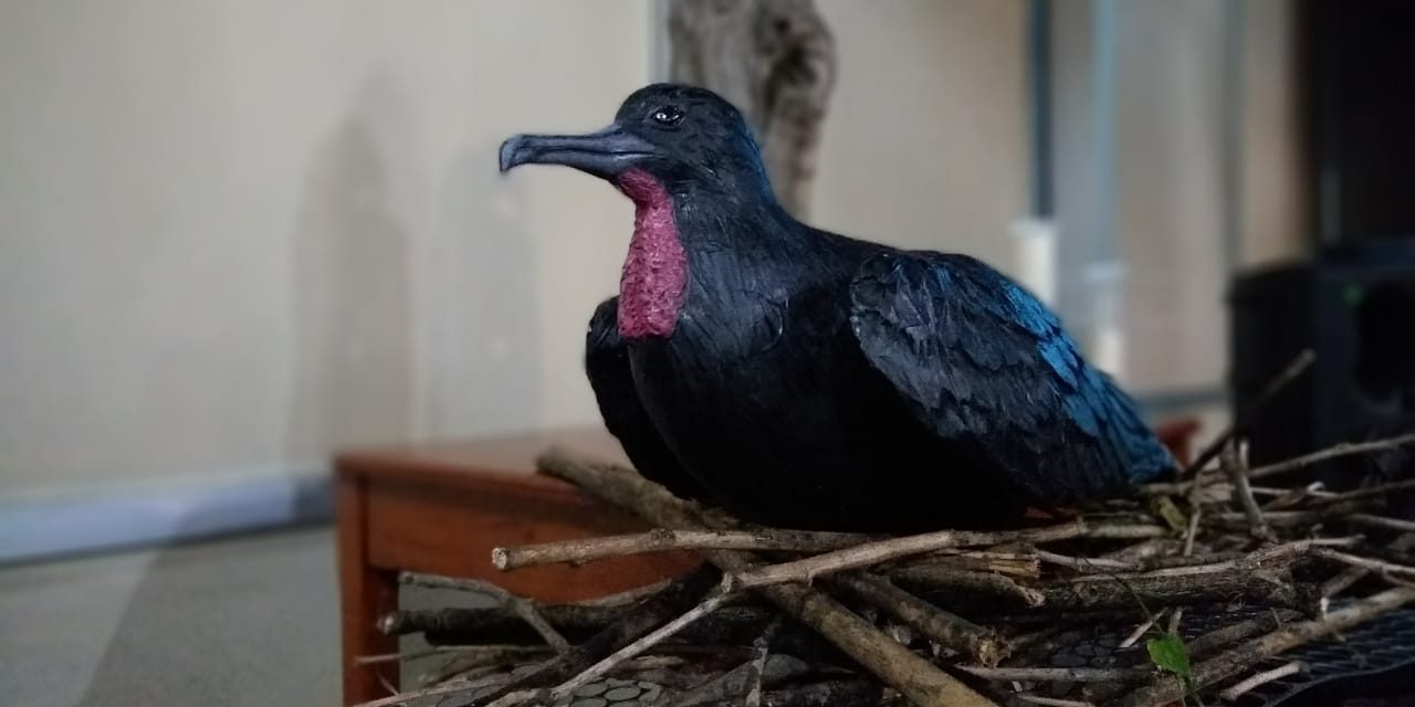 Ninho artificial será usado para reprodução de aves