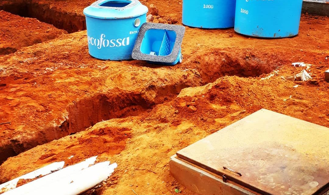 Fossa ecológica absorve o resíduo de criação de porcos