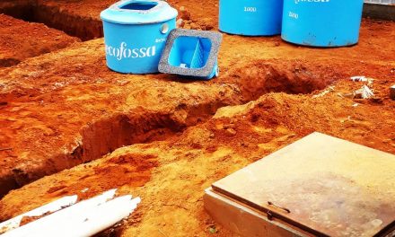 Fossa ecológica absorve o resíduo de criação de porcos