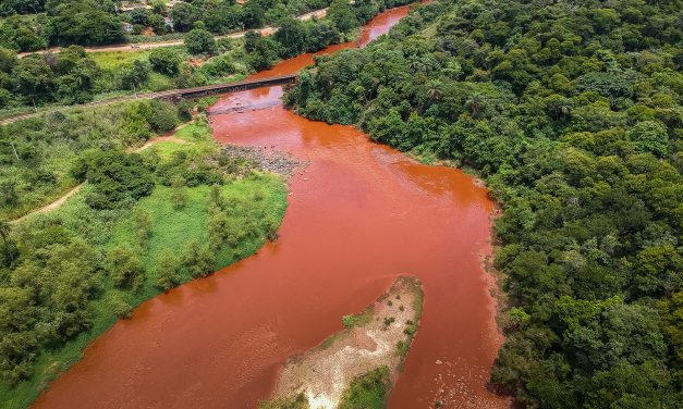 Crime de Brumadinho contamina o Paraopeba