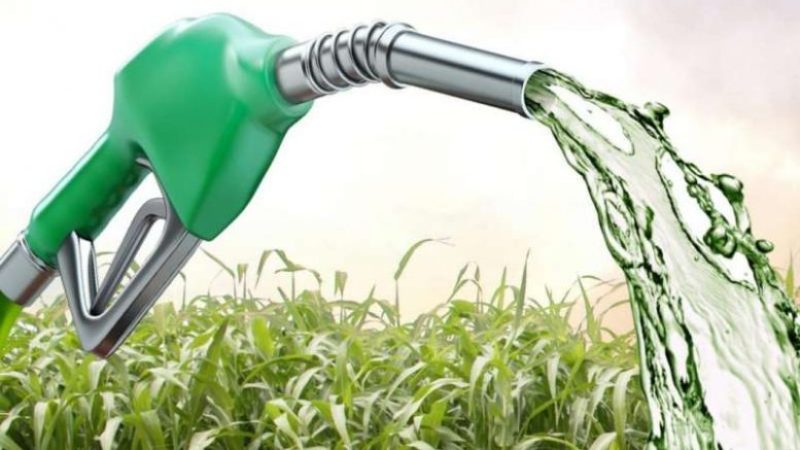 Escola da Cachaça ensina a fazer etanol