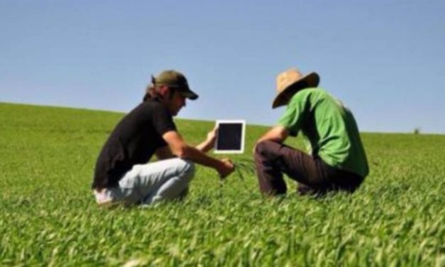 Apps facilitam agricultura e pecuária