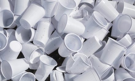 Plástico descartável: proibir para mudar