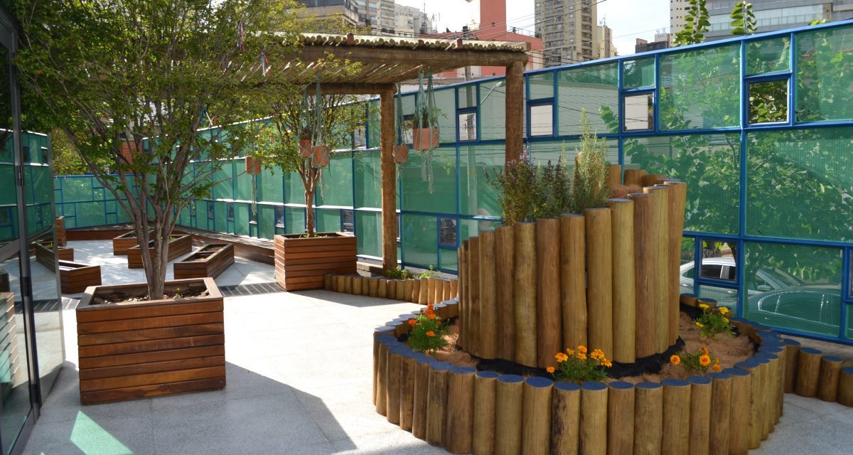 Escola em São Paulo cria jardim pedagógico