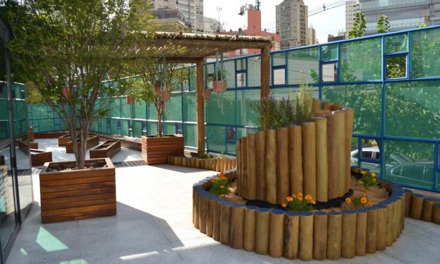 Escola em São Paulo cria jardim pedagógico