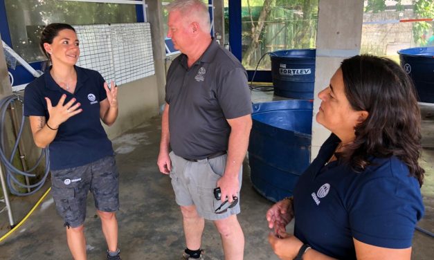 Sea World dá apoio e verba para ficar bem na fita