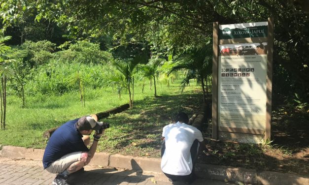 A fotografia como ferramenta ambiental