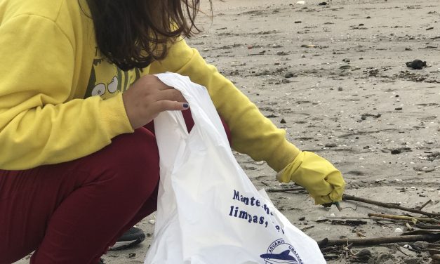 Voluntários recolhem lixo em Ubatuba