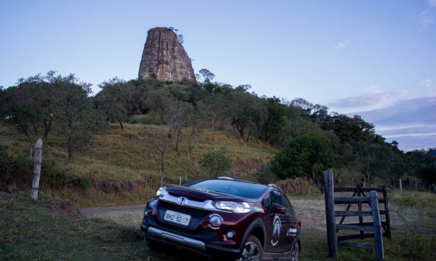 DIA 2 – A selva e a torre de pedra. E os sapos cururus