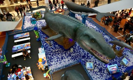 Exposição tem animais marinhos em tamanho real