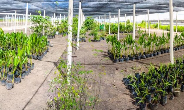 As ações sustentáveis da FCA em Goiana