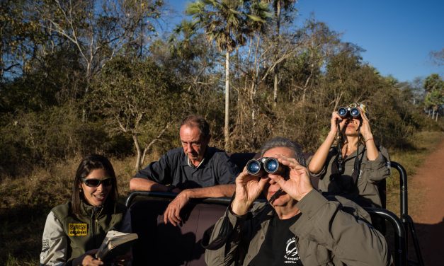DIA 4 – A onça não apareceu, mas pegou o jacaré