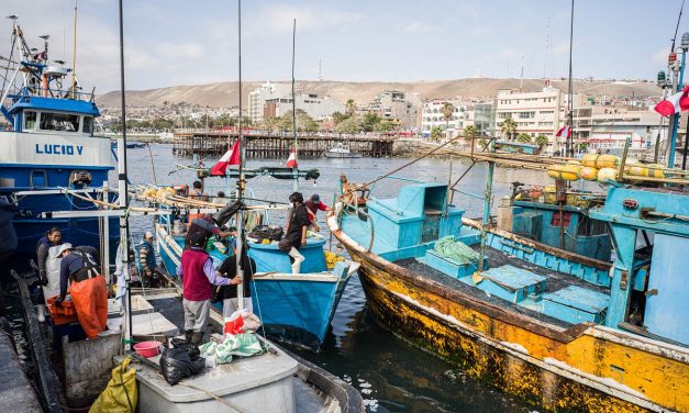 Os frutos do mar das águas geladas do Pacífico