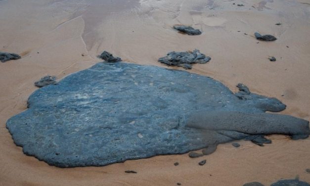 Pedido de socorro que vem dos mares