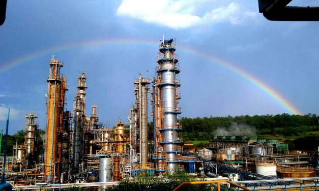 Rhodia neutraliza 96% de carbono