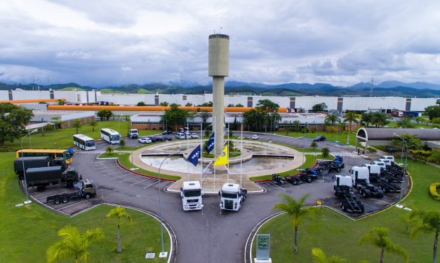 Mais árvores, mais reciclagem e menos consumo      