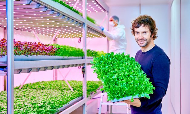 Fazenda vertical usa LED para melhorar a produção