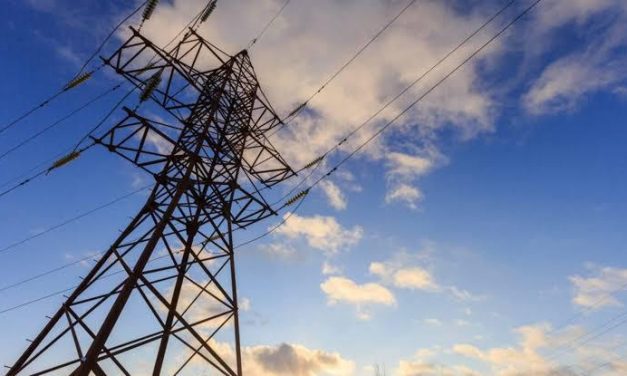 Programa vai doar fundo emergencial para ONGs