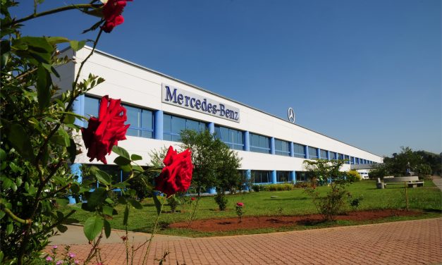 Menos papel, mais árvores