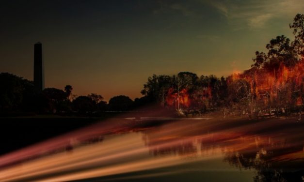 Incêndio no Ibirapuera no Dia da Amazônia