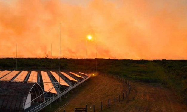 Fumaça do Brasil pode chegar à África