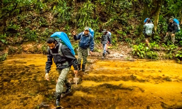 Reserva no Vale do Ribeira reabre para o Ecoturismo