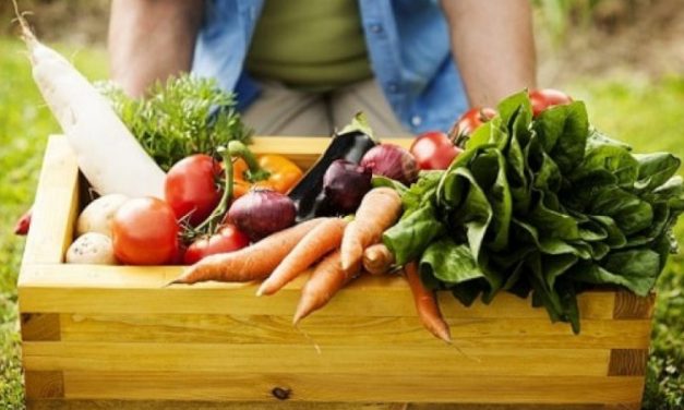 Sistema combate a fome e reduz emissões