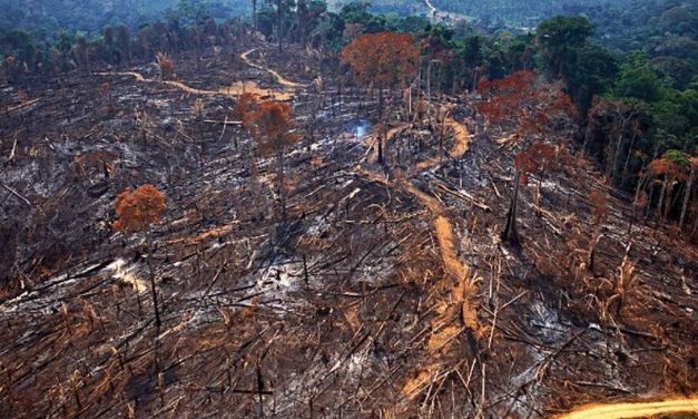 Crise climática pode levar milhões à pobreza extrema