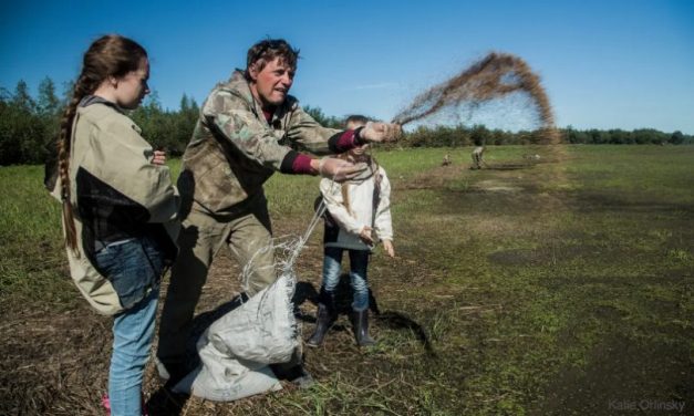 Os tesouros revelados pelo degelo