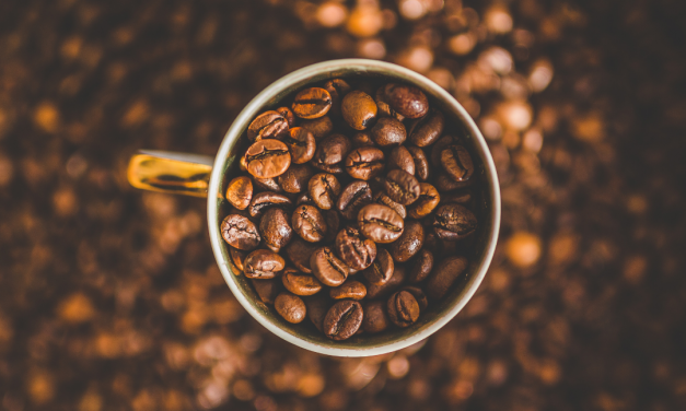 Seminário discute a cadeia de valor do café