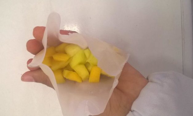 Brasil usa embalagem biodegradável para exportar manga