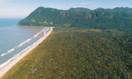 O paraíso Jureia